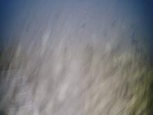 Webkamera 1